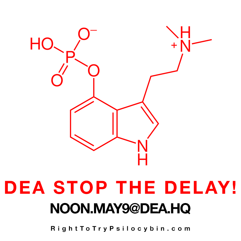 DEA STOP THE DELAY. Terminally-Ill Patients have the Right to Try Psilocybin!